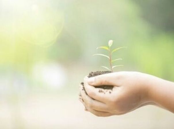 Itanhaém é referência em perservação