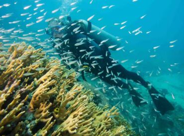 Itanhaém no Mapa do Mergulho