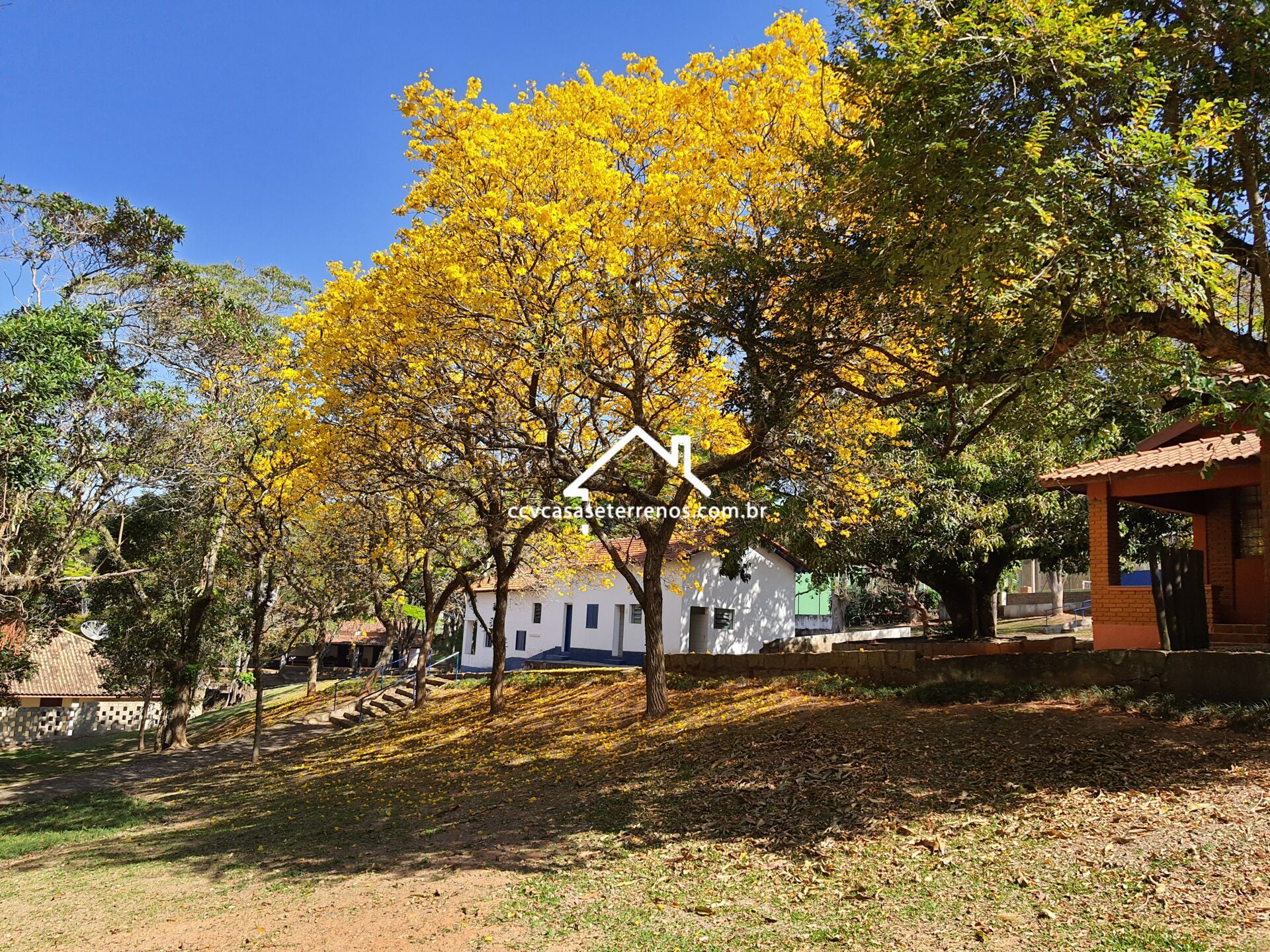 Terreno à venda, 1000m² - Foto 4