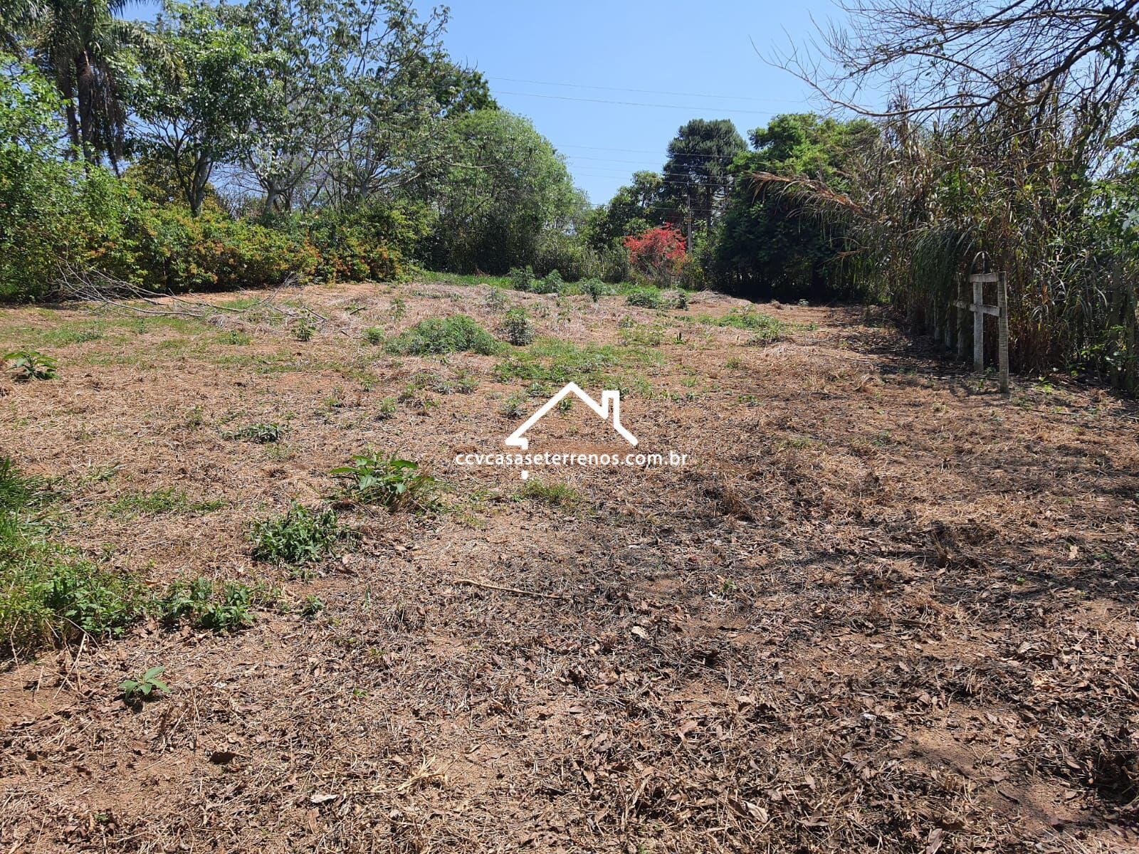 Terreno à venda, 1010m² - Foto 3