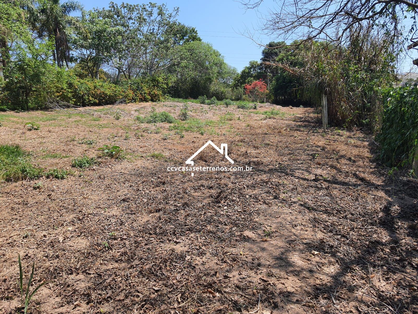 Terreno à venda, 1010m² - Foto 1