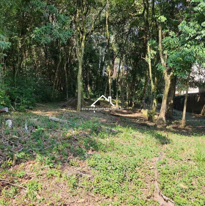 Terreno à venda, 1041m² - Foto 1