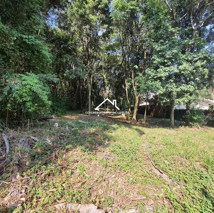 Terreno à venda, 1041m² - Foto 3
