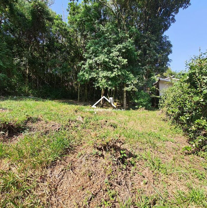 Terreno à venda, 1041m² - Foto 2