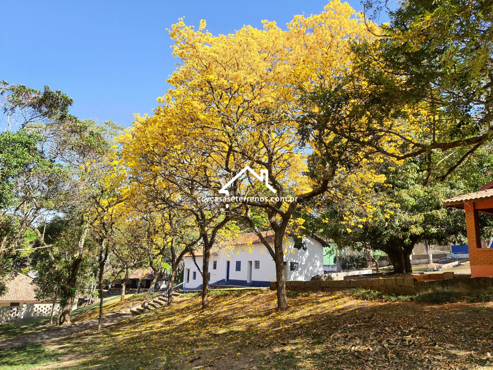 Terreno à venda, 1200m² - Foto 4