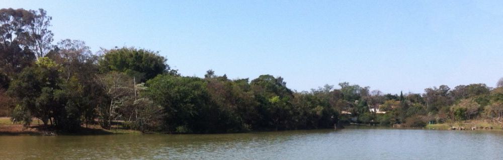 CCV CASAS E TERRENOS - CRECI 050914 PJ