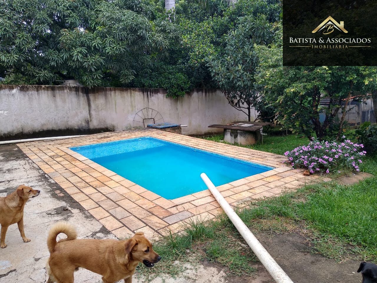 Chácara, 2 quartos, 1200 m² - Foto 2