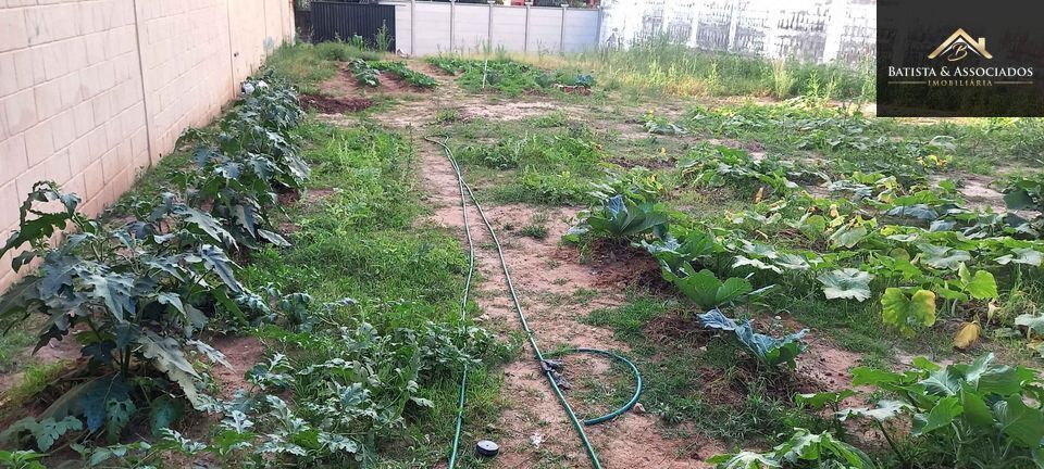 Terreno, 416 m² - Foto 3