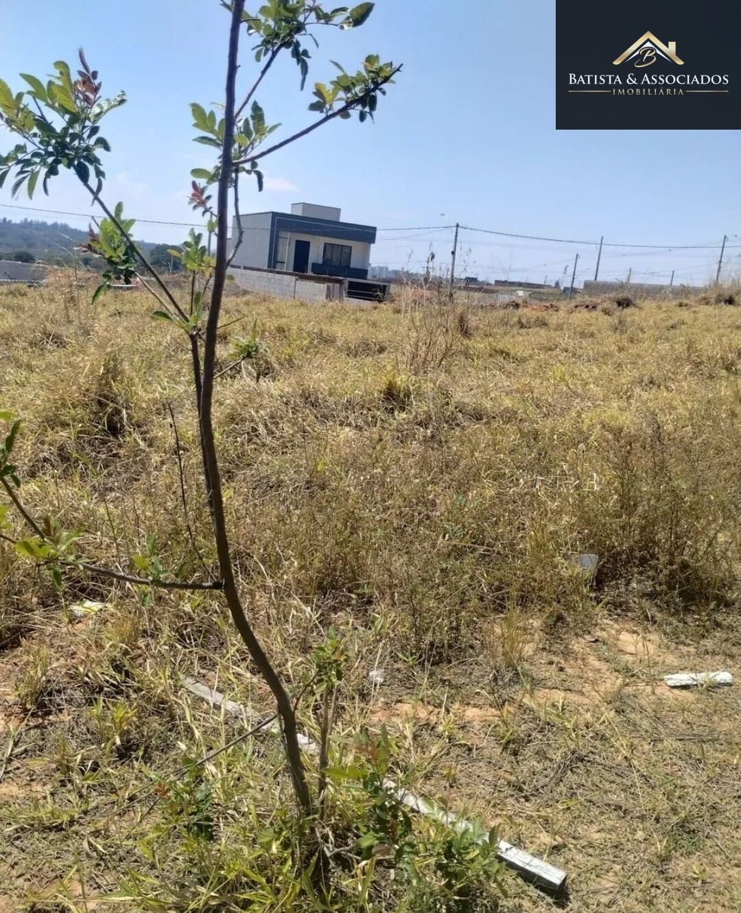 Terreno, 250 m² - Foto 6