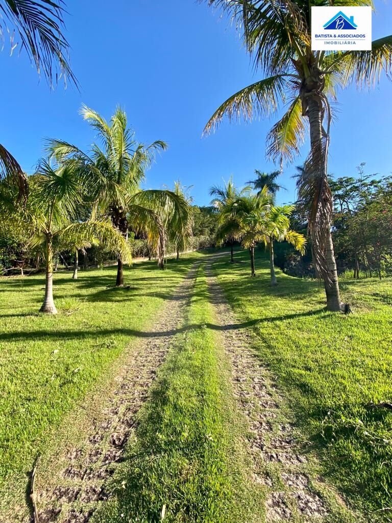 Fazenda à venda com 6 quartos, 5000m² - Foto 16