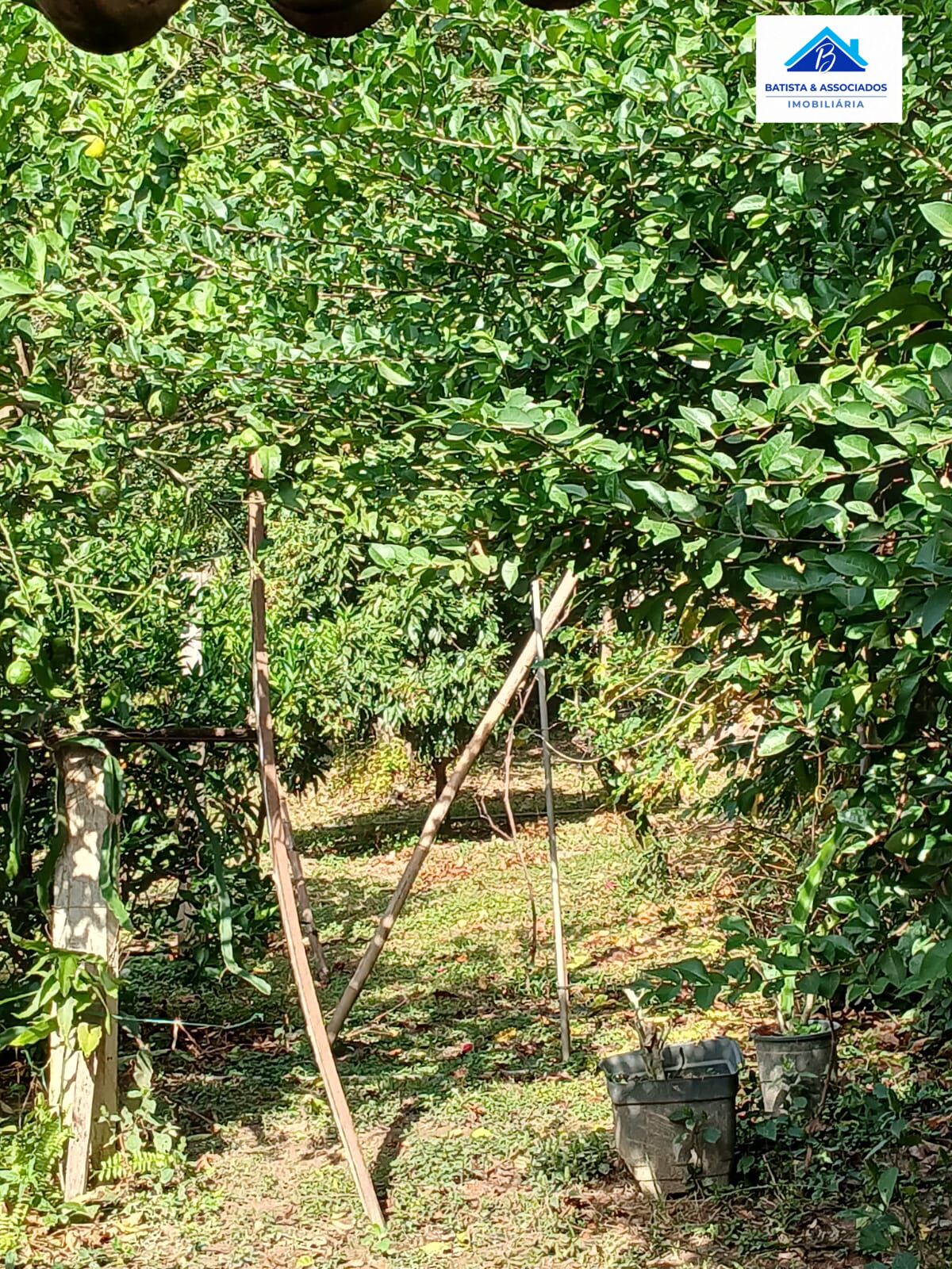 Chácara, 3 quartos, 1000 m² - Foto 26