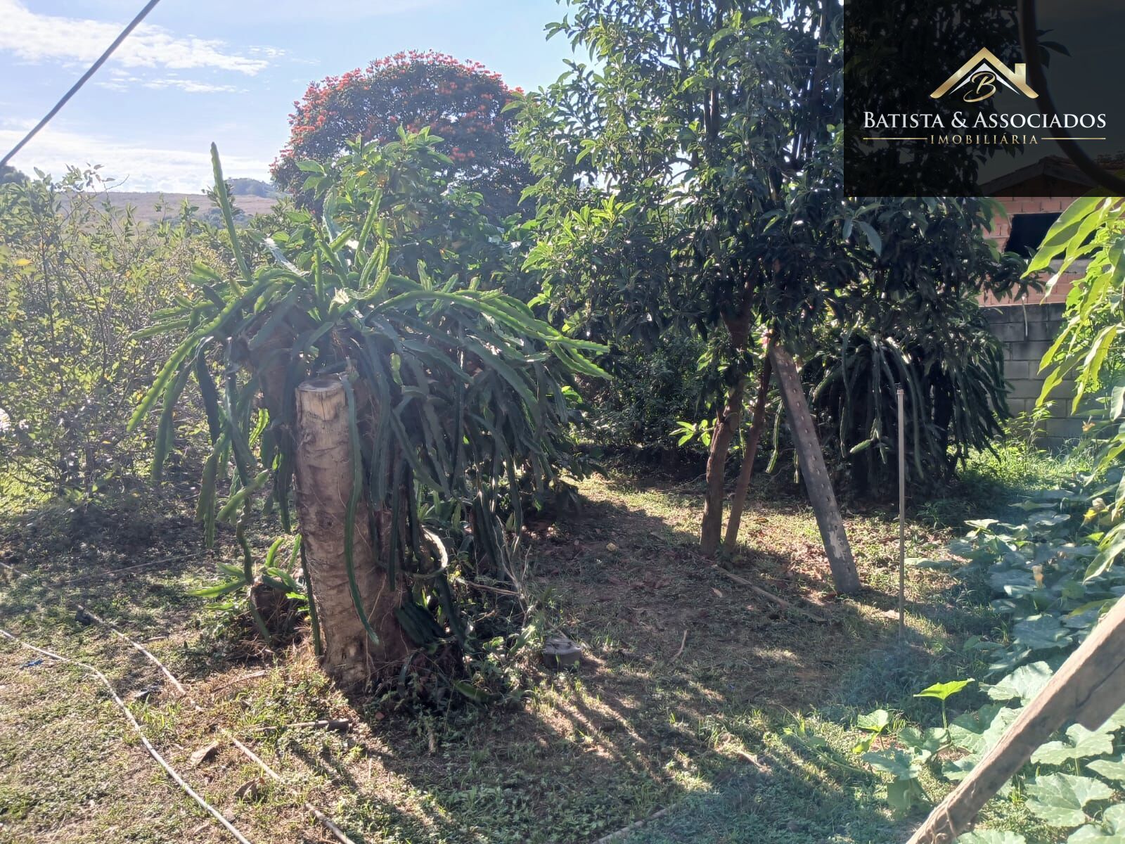 Chácara, 3 quartos, 1000 m² - Foto 33