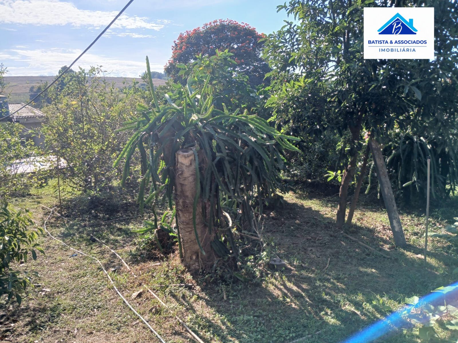 Chácara, 3 quartos, 1000 m² - Foto 31