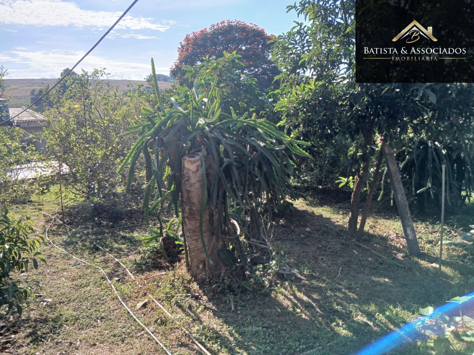 Chácara, 3 quartos, 1000 m² - Foto 31