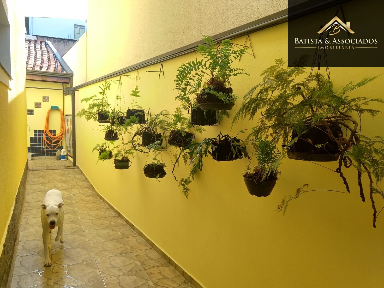 Casa, 4 quartos, 293 m² - Foto 2