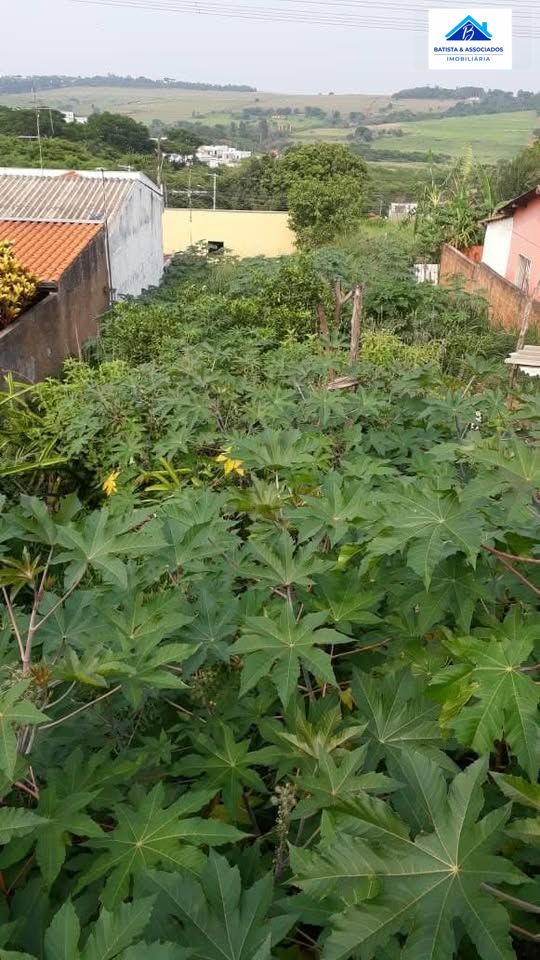 Terreno, 300 m² - Foto 3