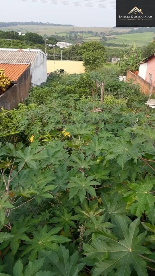 Terreno, 300 m² - Foto 3