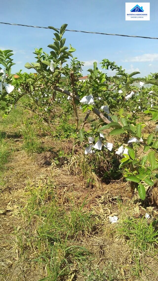 Fazenda à venda com 6 quartos, 51000m² - Foto 15