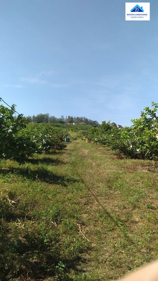 Fazenda à venda com 6 quartos, 51000m² - Foto 20