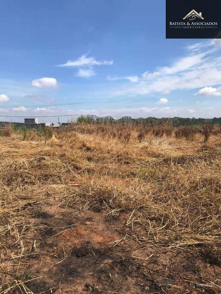 Terreno, 250 m² - Foto 5