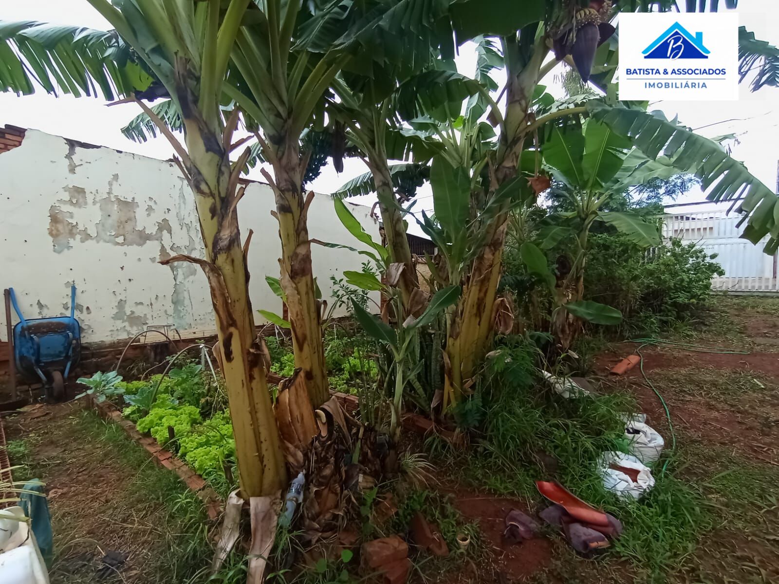 Terreno, 330 m² - Foto 6