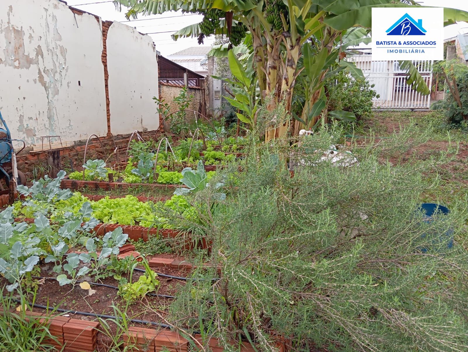 Terreno, 330 m² - Foto 3