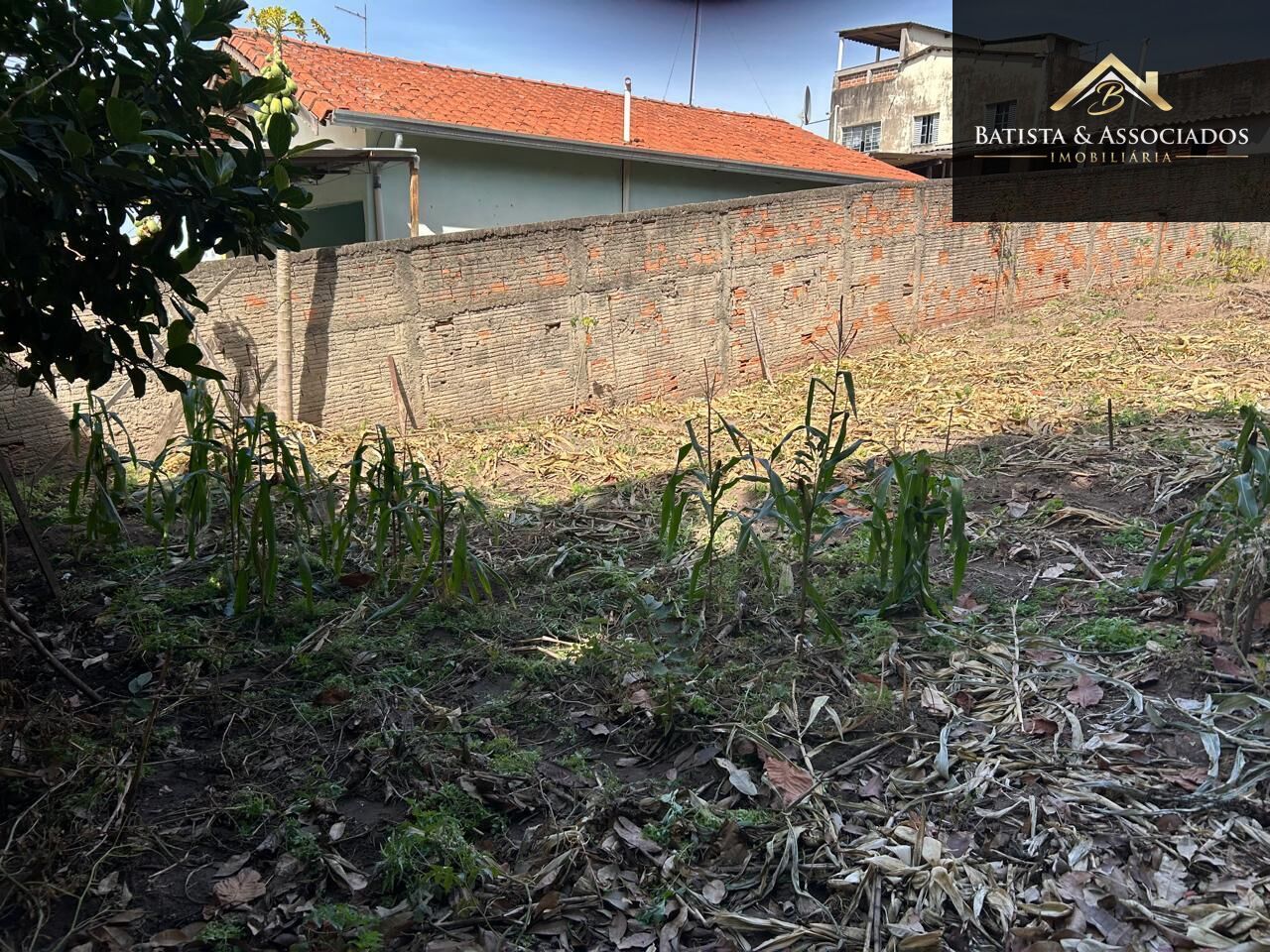 Terreno, 250 m² - Foto 6