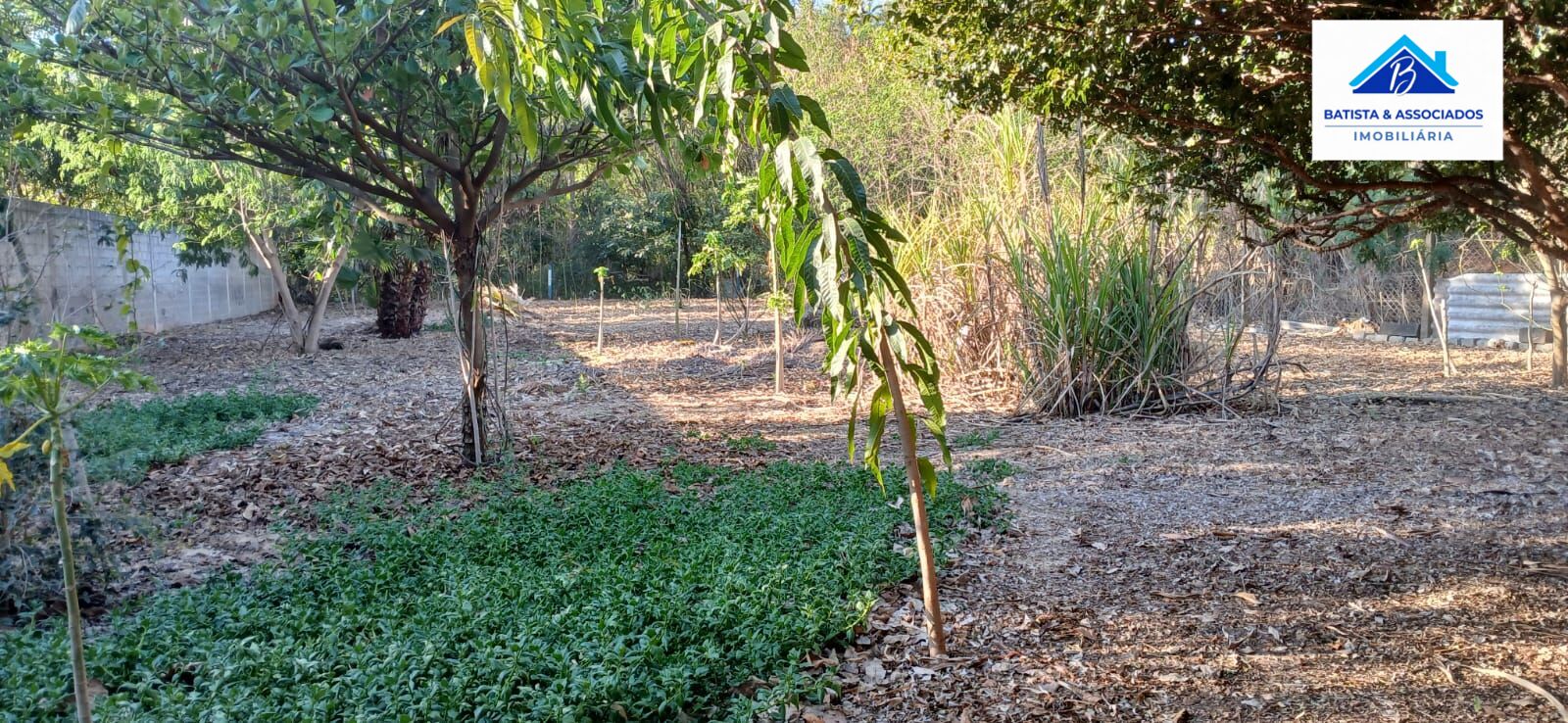 Terreno, 2500 m² - Foto 15