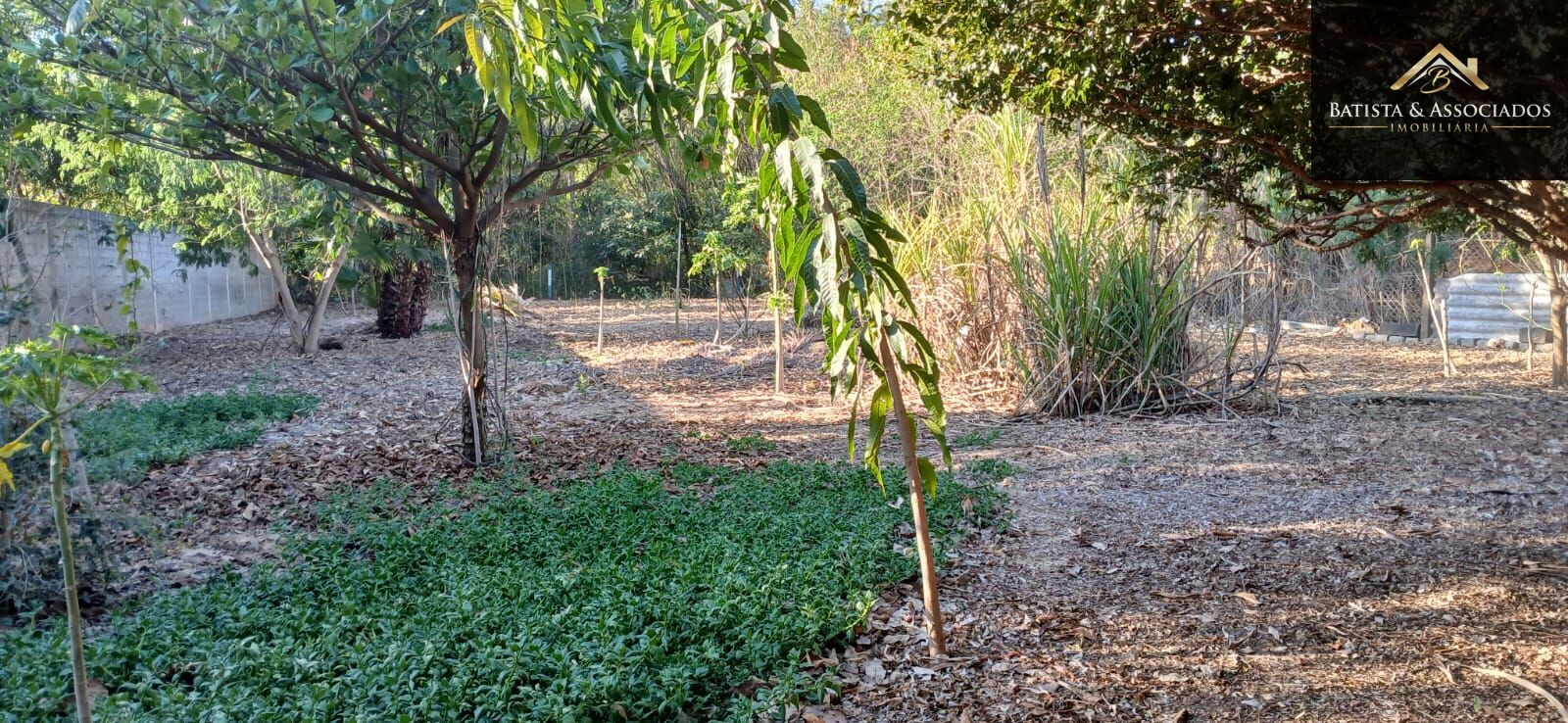 Terreno, 2500 m² - Foto 15