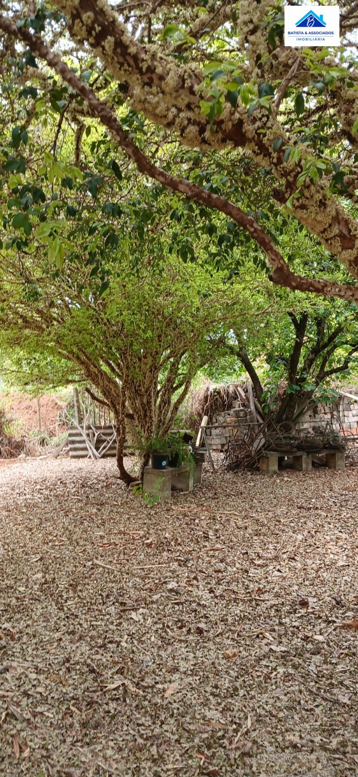 Terreno, 2500 m² - Foto 22