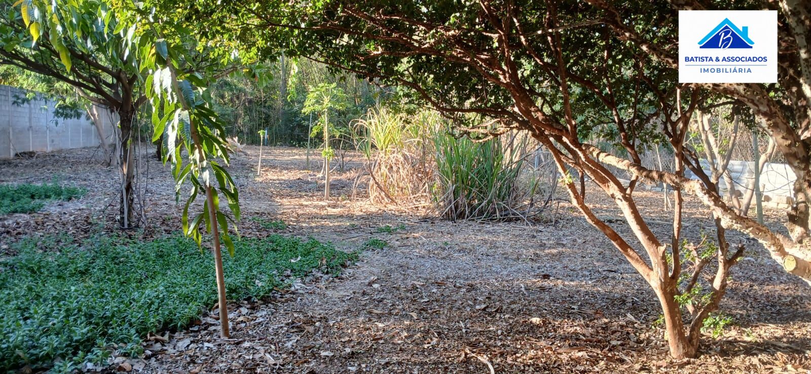 Terreno, 2500 m² - Foto 7