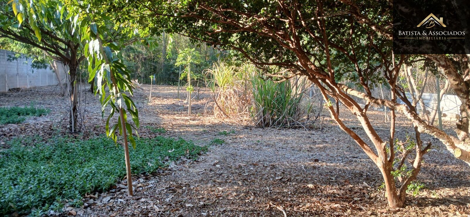 Terreno, 2500 m² - Foto 7
