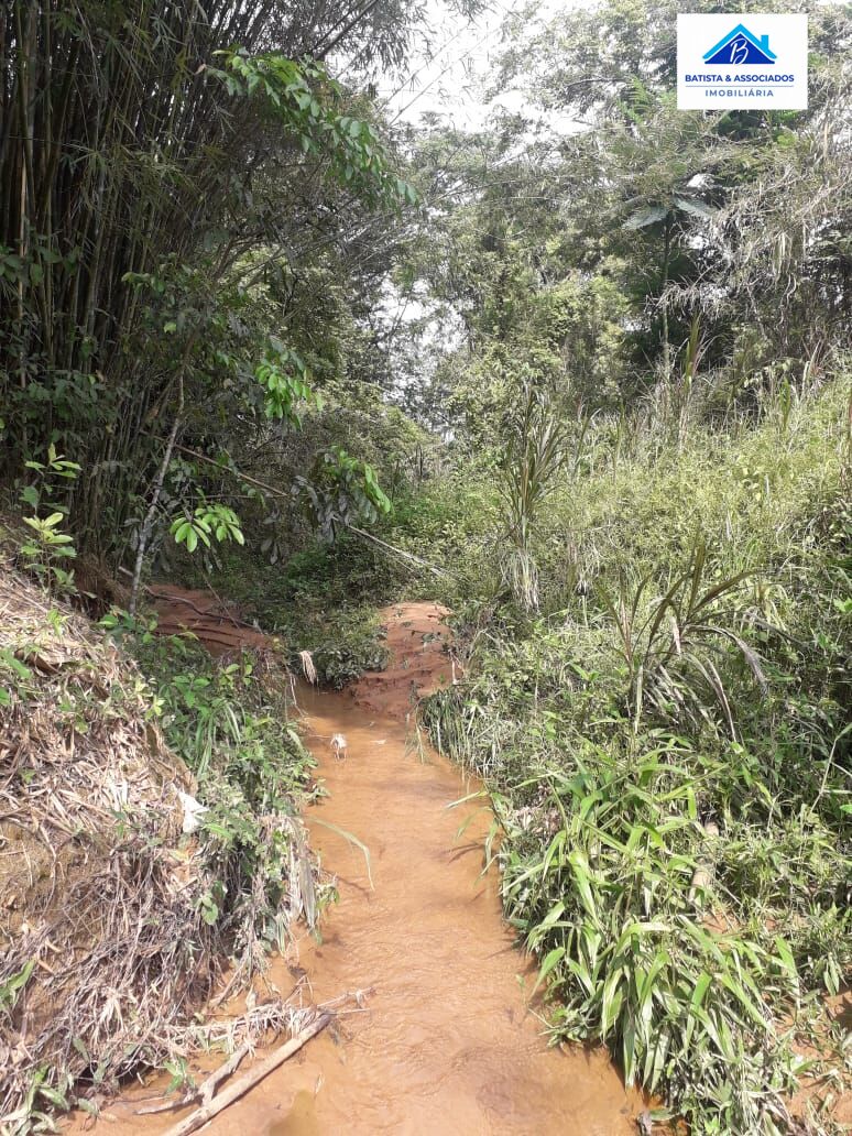 Terreno à venda, 1600m² - Foto 3