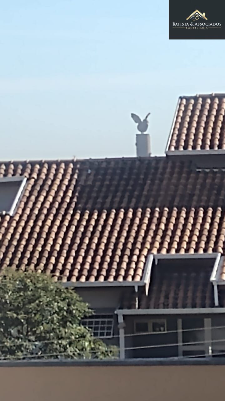 Casa, 4 quartos, 311 m² - Foto 28