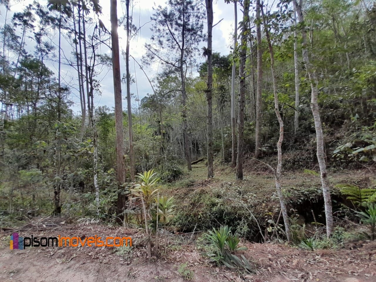 Fazenda à venda, 66400m² - Foto 15