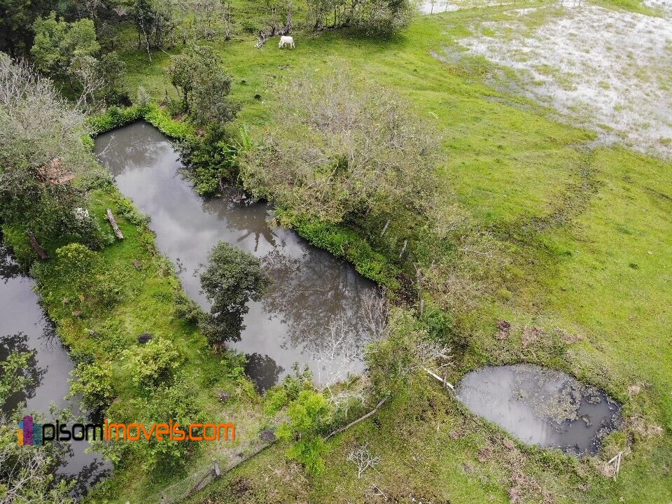 Fazenda à venda com 4 quartos, 32000m² - Foto 8