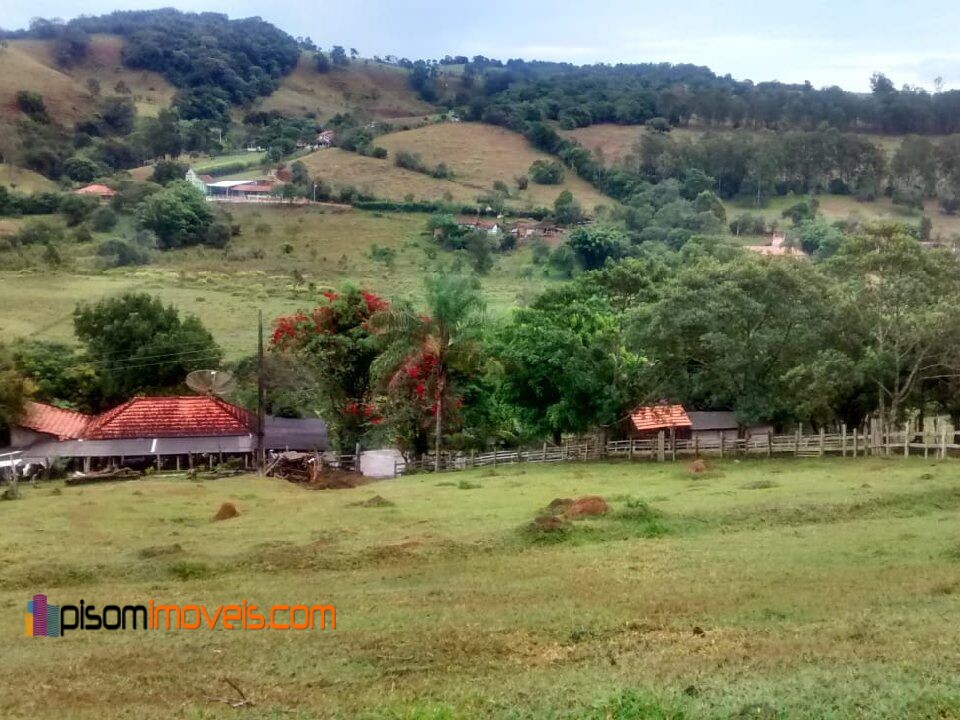 Fazenda à venda com 4 quartos, 32000m² - Foto 2