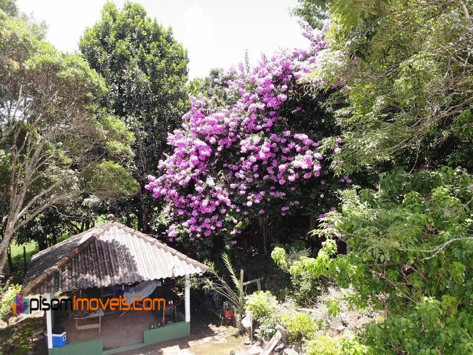 Fazenda à venda com 4 quartos, 32000m² - Foto 22