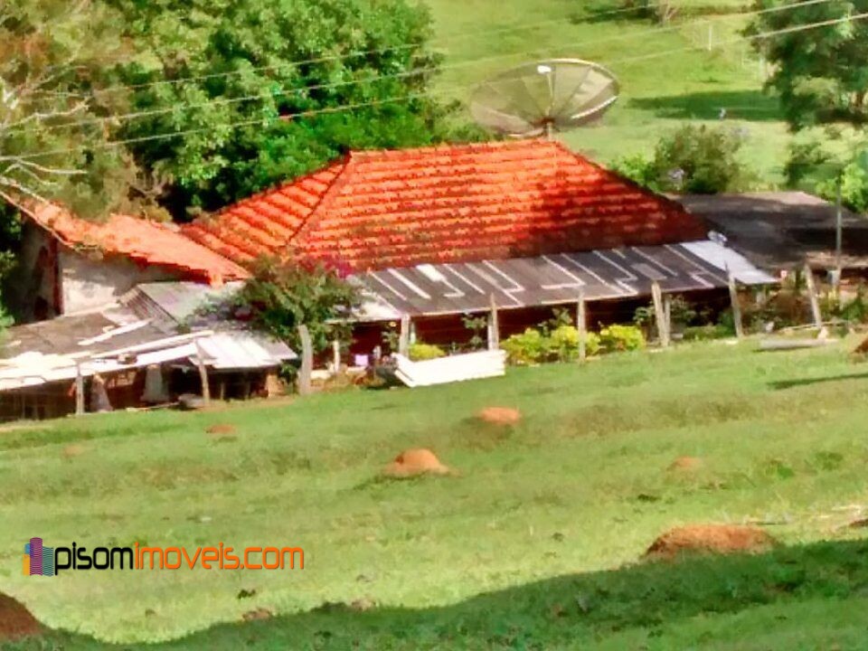 Fazenda à venda com 4 quartos, 32000m² - Foto 1