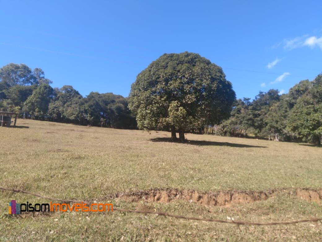 Fazenda à venda com 4 quartos, 32000m² - Foto 21