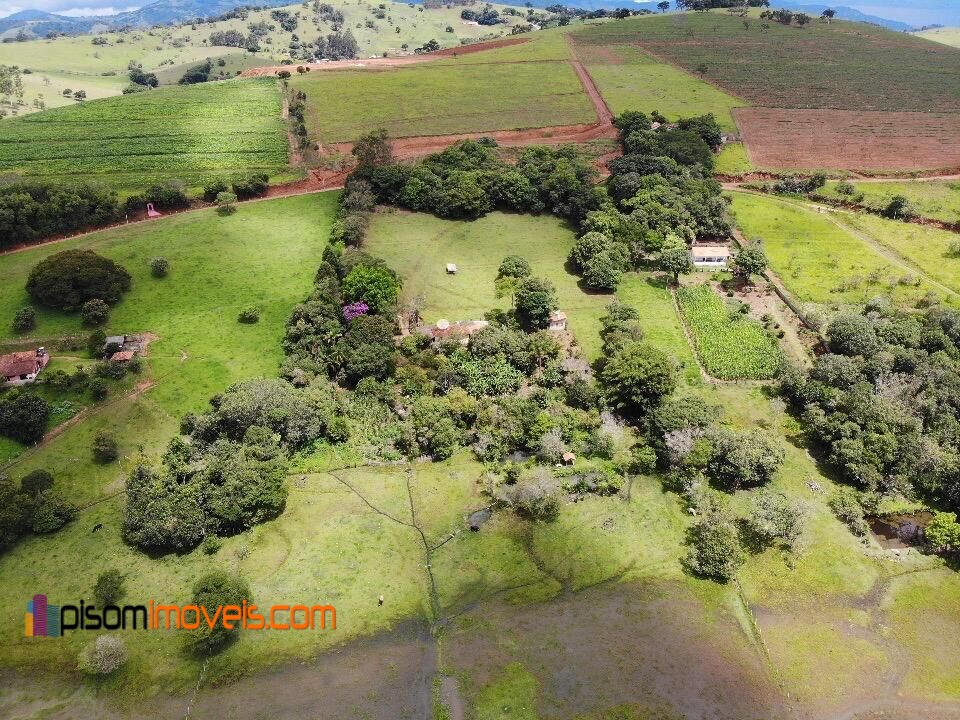 Fazenda à venda com 4 quartos, 32000m² - Foto 11