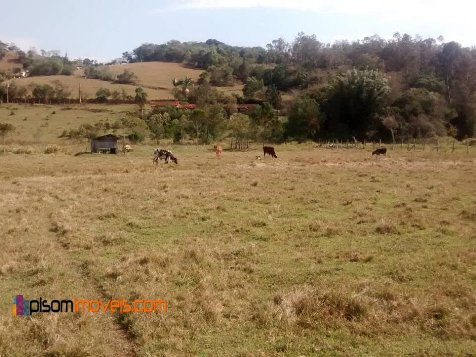 Fazenda à venda com 4 quartos, 32000m² - Foto 20