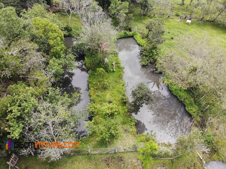 Fazenda à venda com 4 quartos, 32000m² - Foto 12