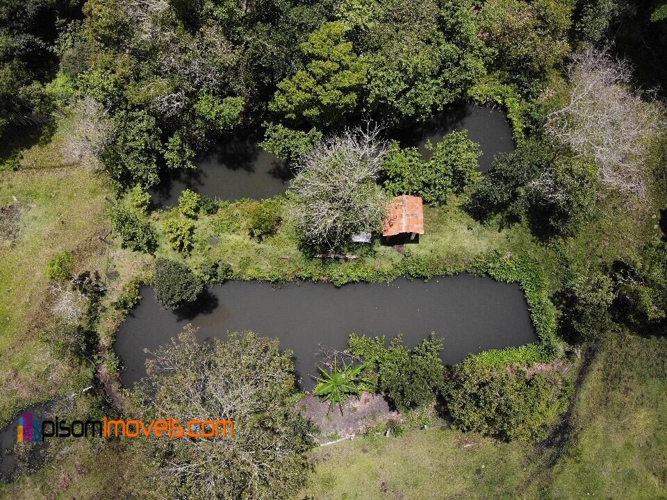 Fazenda à venda com 4 quartos, 32000m² - Foto 13