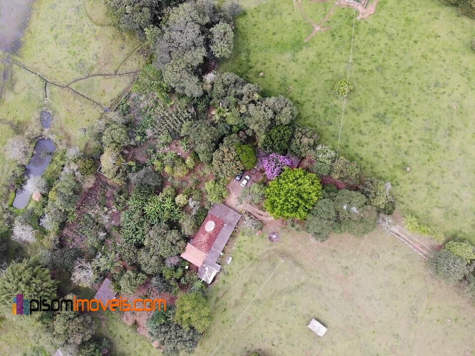 Fazenda à venda com 4 quartos, 32000m² - Foto 6