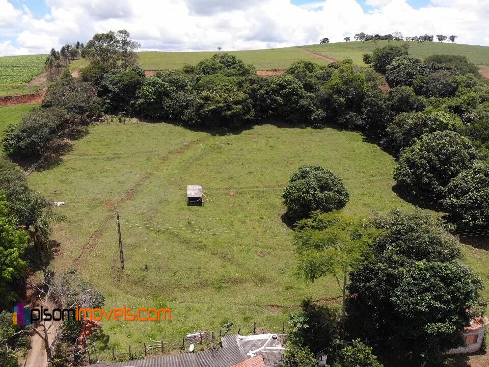 Fazenda à venda com 4 quartos, 32000m² - Foto 9