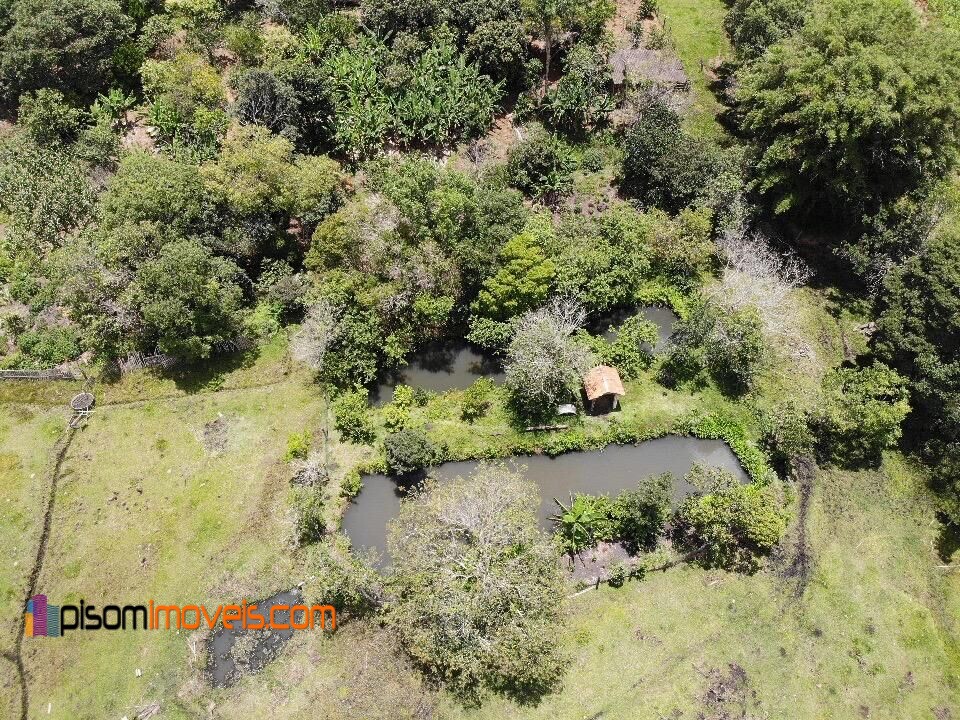 Fazenda à venda com 4 quartos, 32000m² - Foto 10