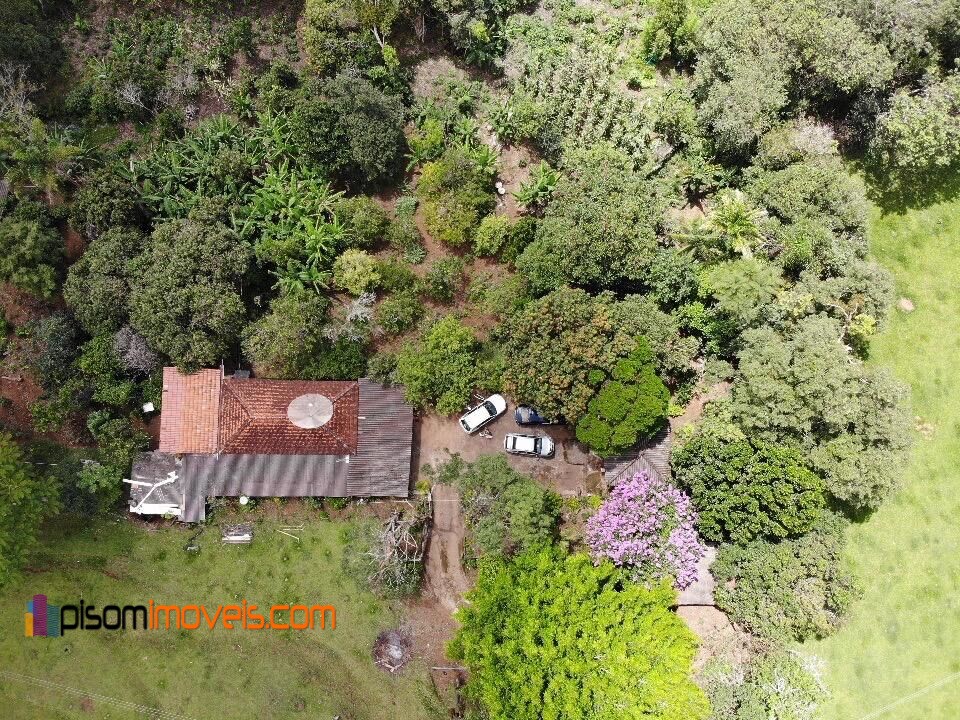 Fazenda à venda com 4 quartos, 32000m² - Foto 4