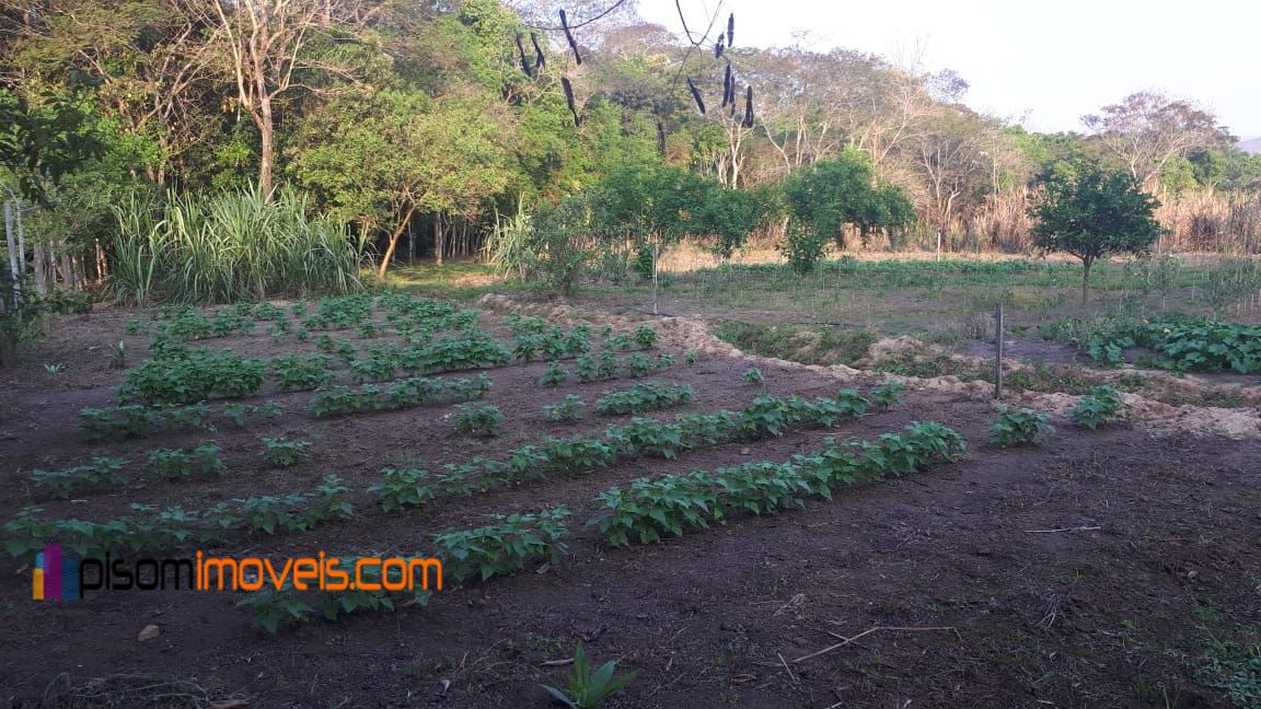 Fazenda à venda, 11700m² - Foto 16