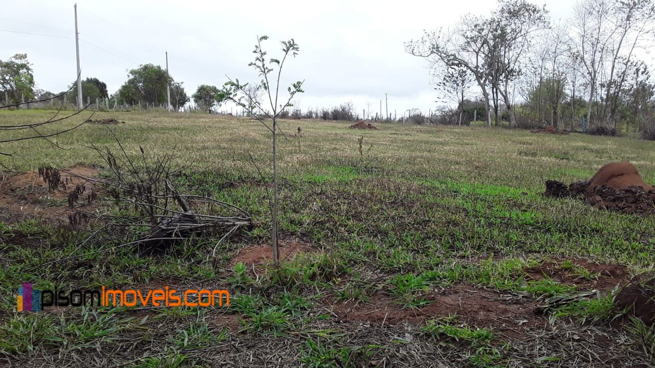 Fazenda à venda, 11700m² - Foto 7